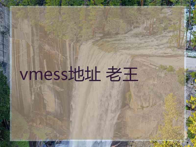 vmess地址 老王