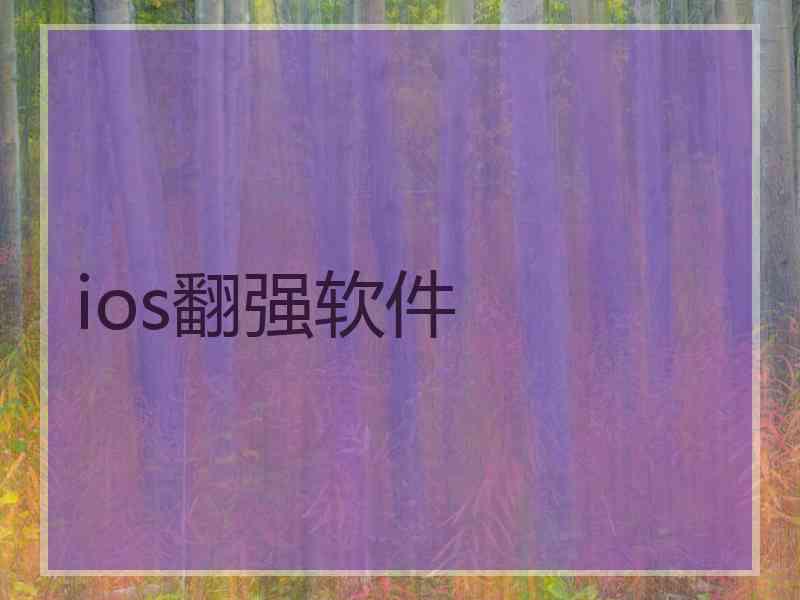 ios翻强软件