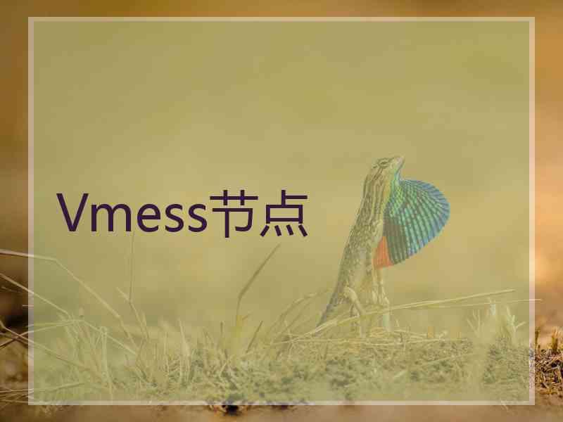 Vmess节点