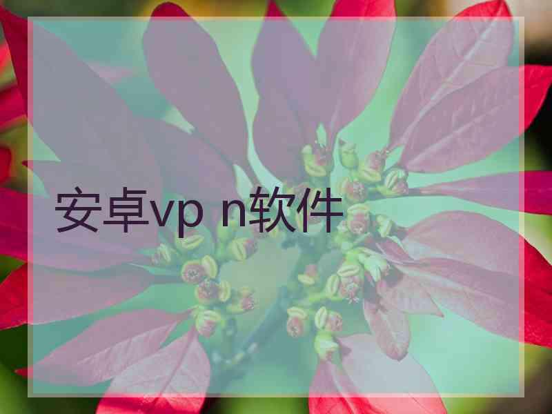 安卓vp n软件