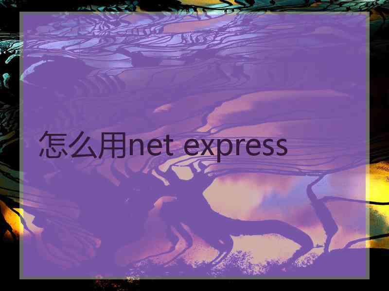 怎么用net express