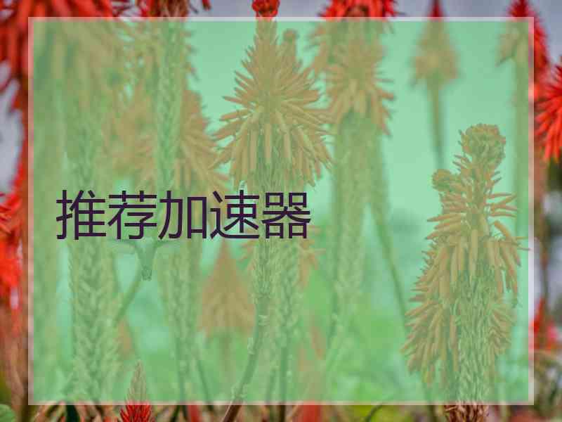 推荐加速器