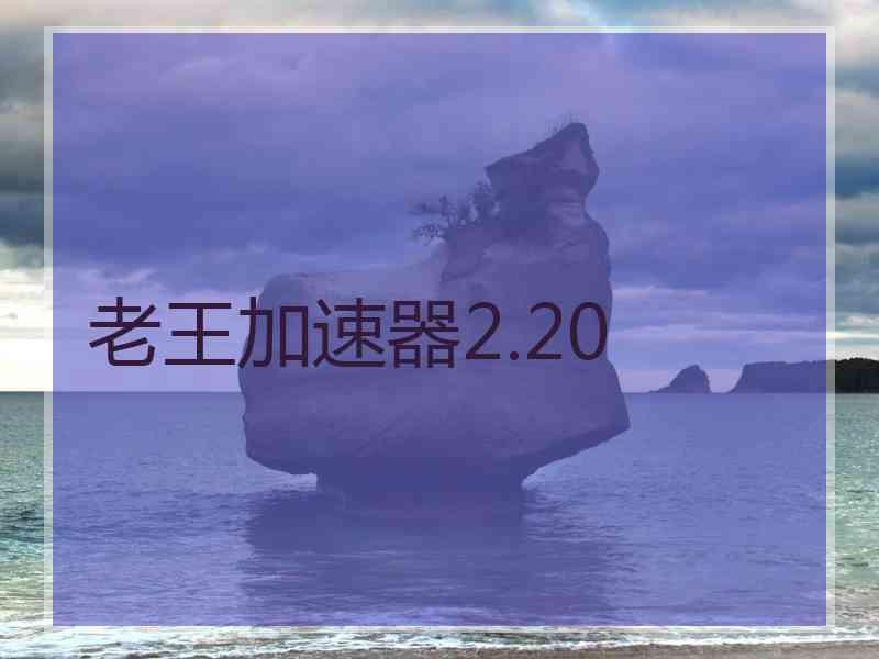 老王加速器2.20