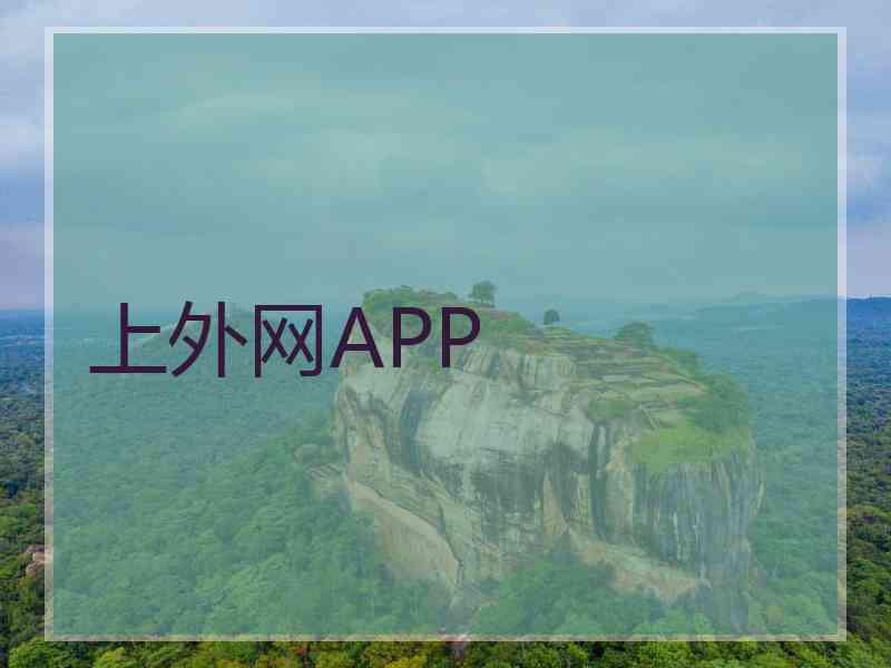 上外网APP