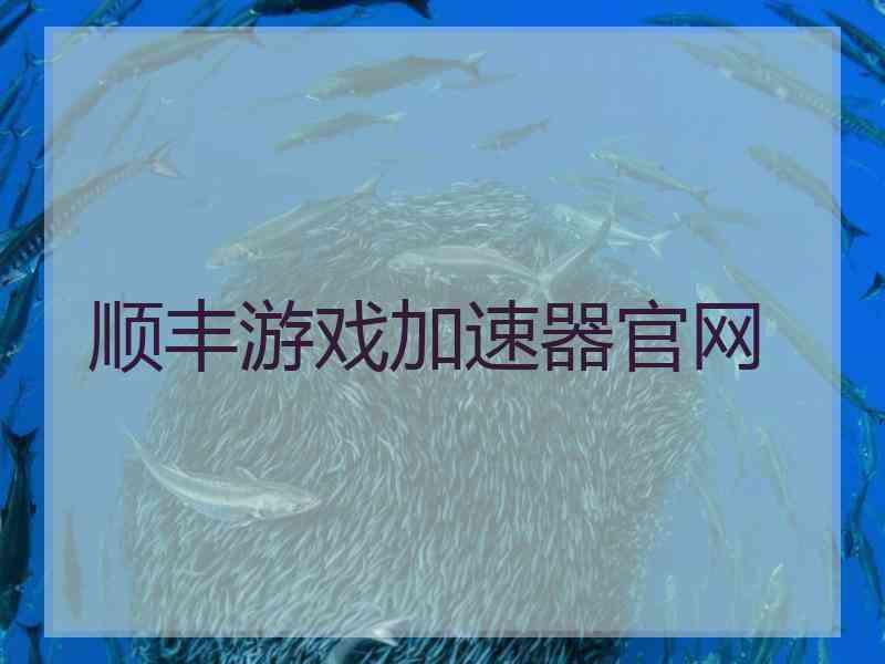 顺丰游戏加速器官网