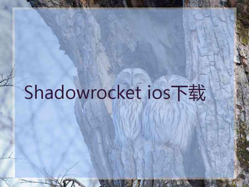 Shadowrocket ios下载