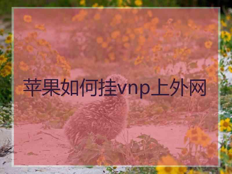 苹果如何挂vnp上外网