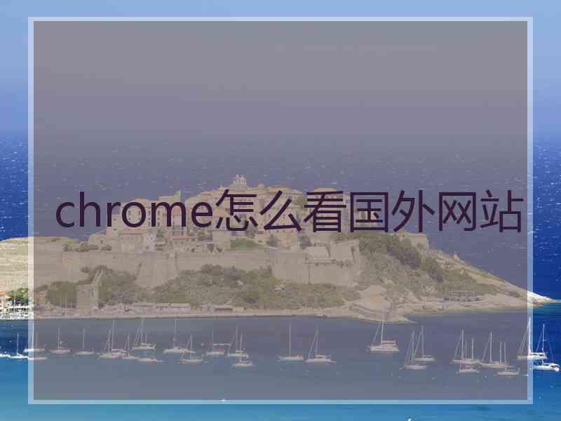 chrome怎么看国外网站