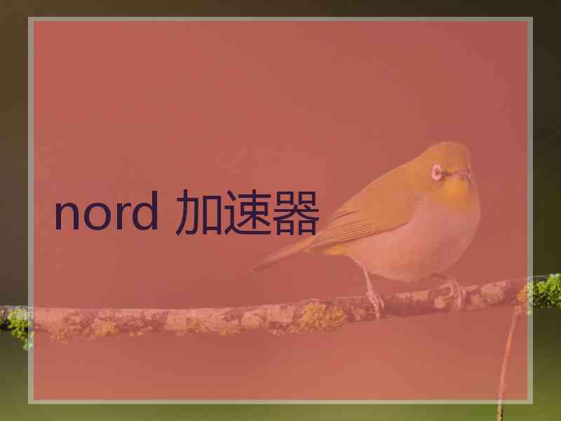 nord 加速器