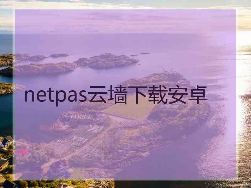 netpas云墙下载安卓