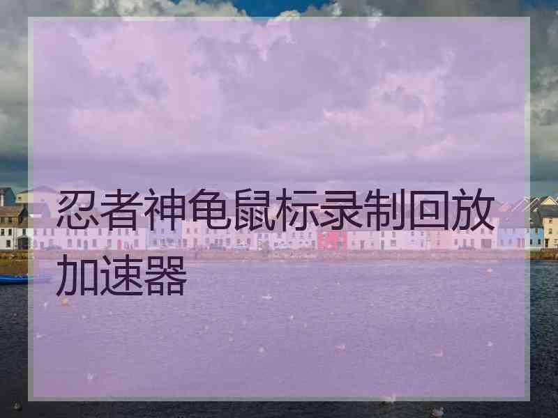 忍者神龟鼠标录制回放加速器