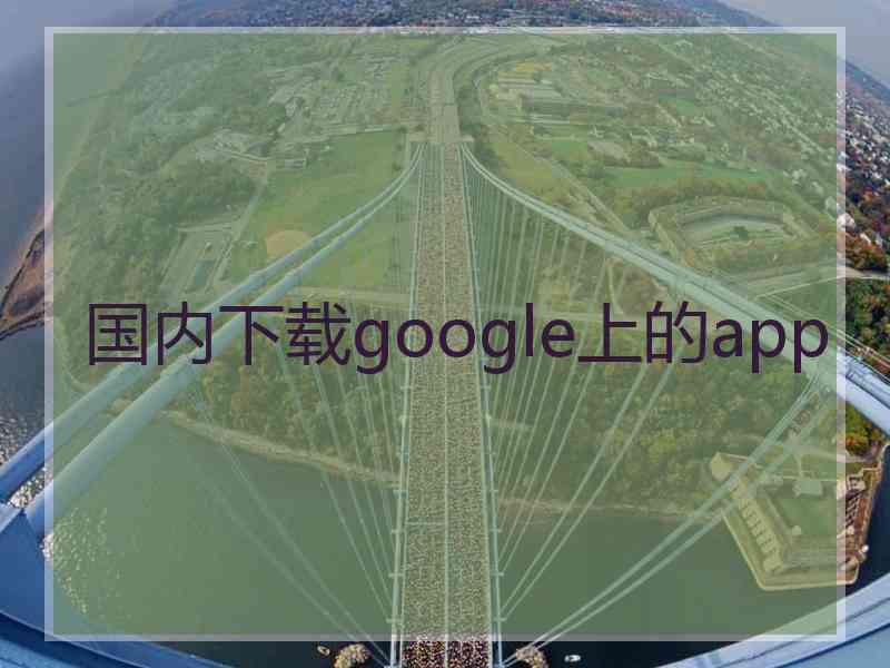 国内下载google上的app