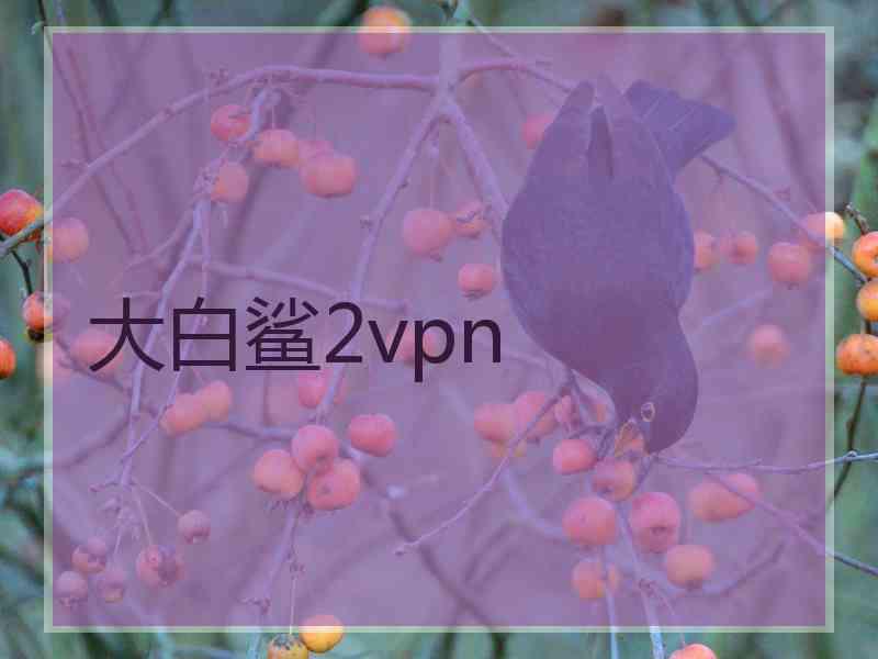 大白鲨2vpn