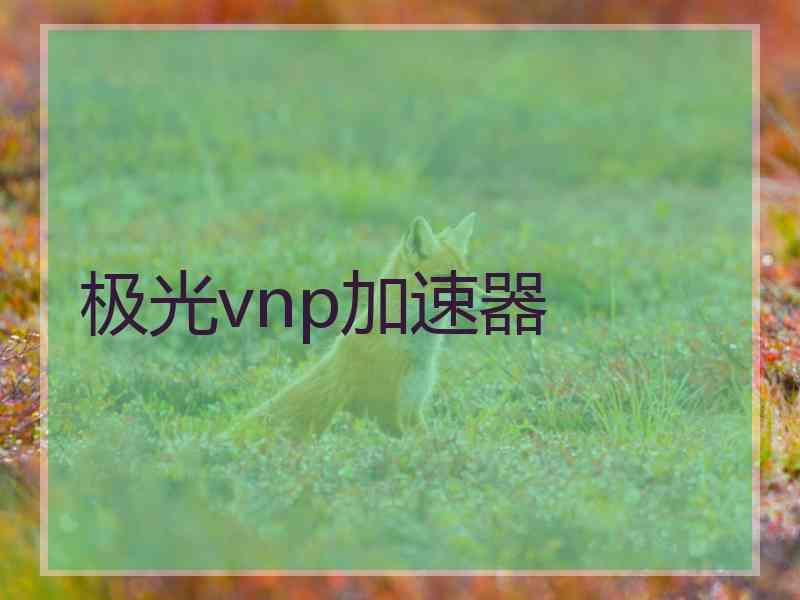 极光vnp加速器