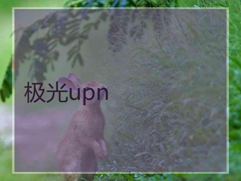 极光upn