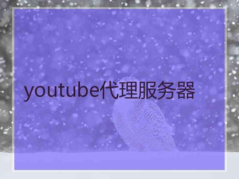 youtube代理服务器