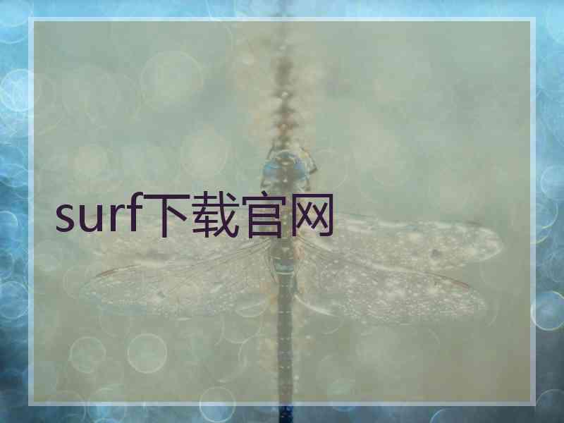 surf下载官网