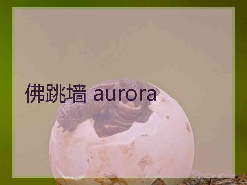 佛跳墙 aurora