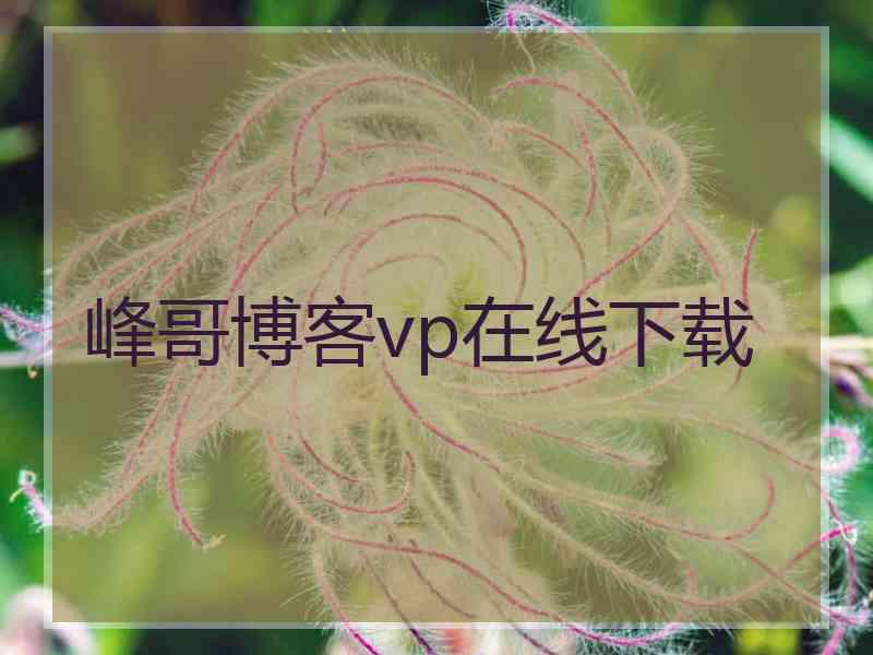 峰哥博客vp在线下载