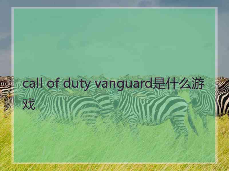 call of duty vanguard是什么游戏