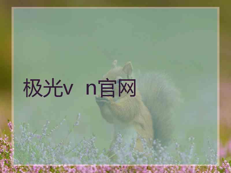 极光v  n官网