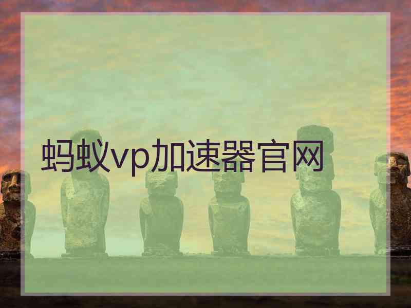 蚂蚁vp加速器官网