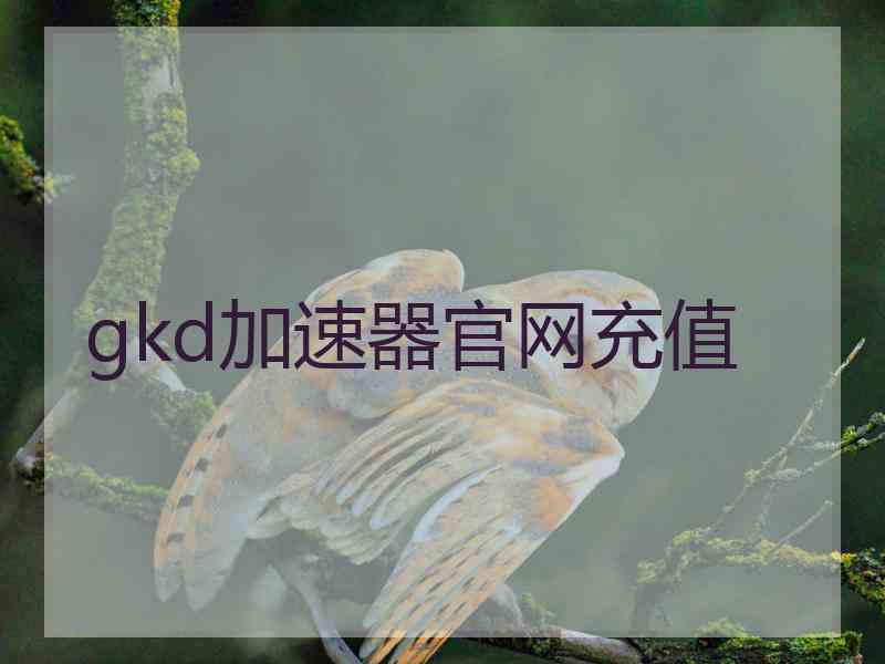 gkd加速器官网充值