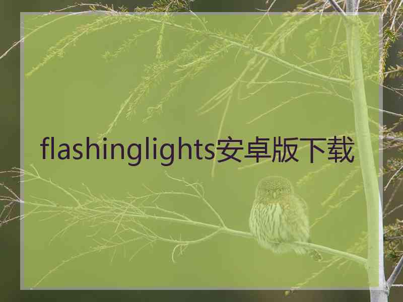 flashinglights安卓版下载