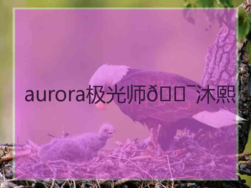 aurora极光师🐯沐熙