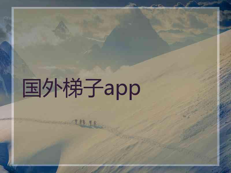 国外梯子app