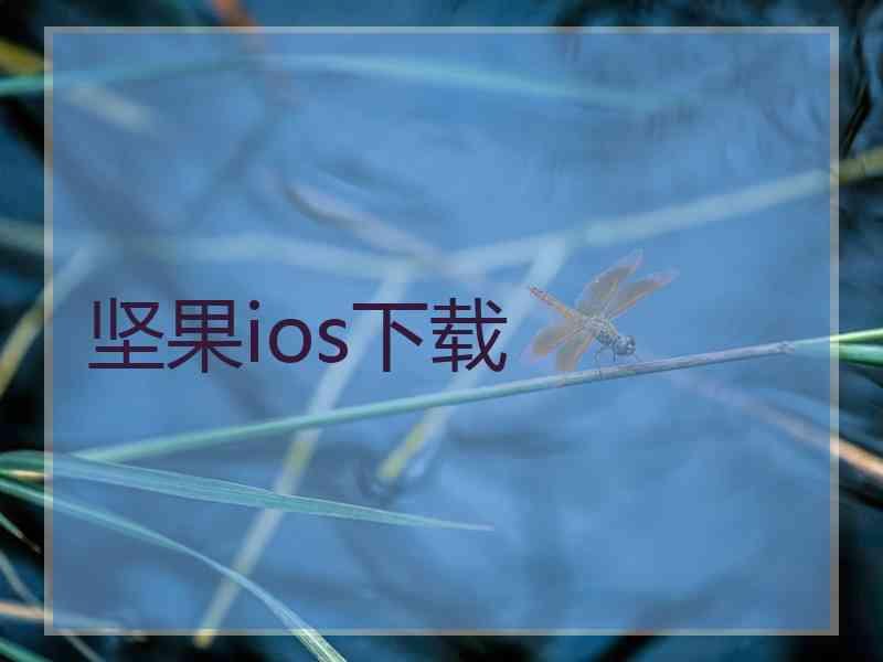 坚果ios下载