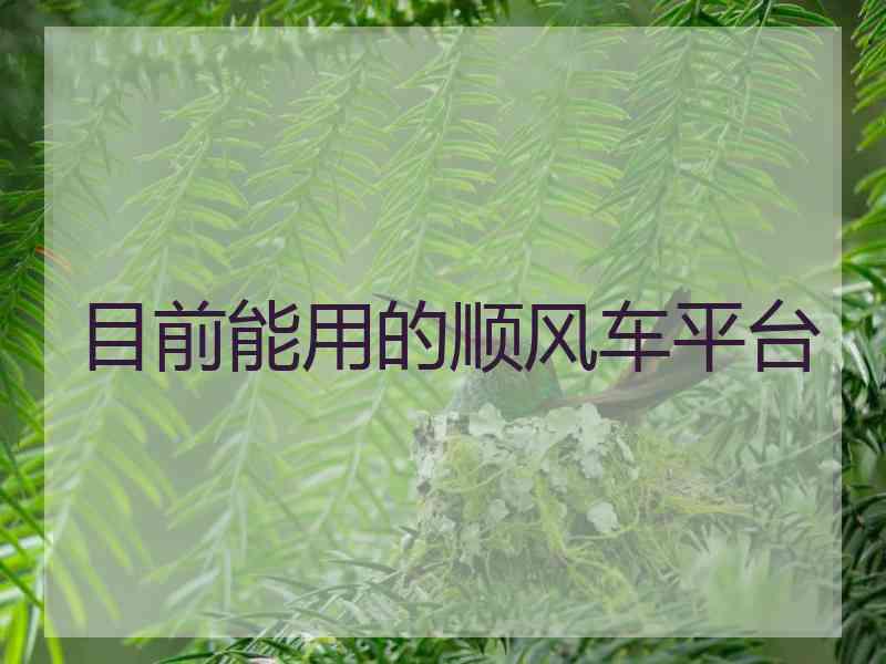 目前能用的顺风车平台