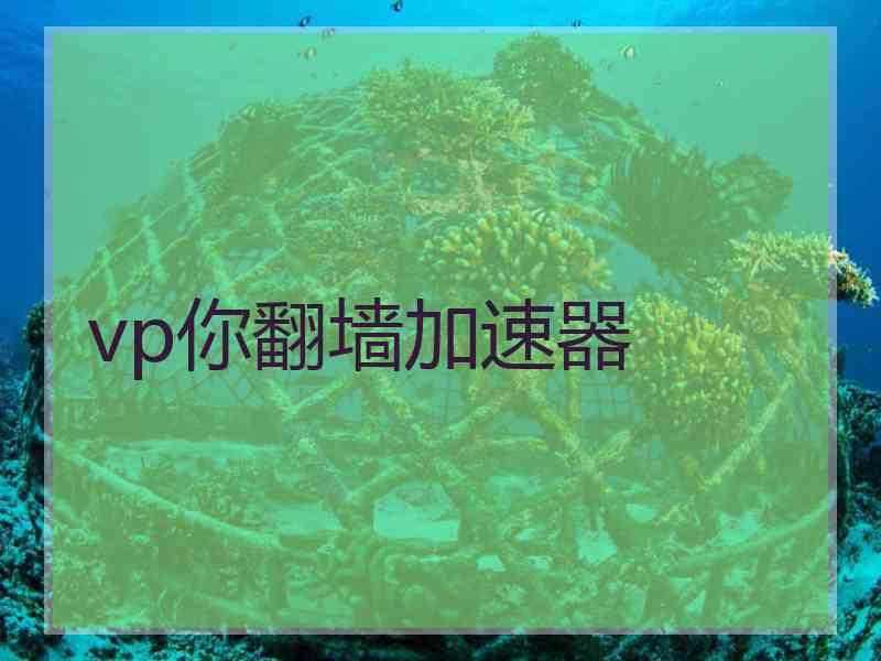 vp你翻墙加速器