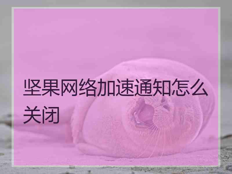 坚果网络加速通知怎么关闭