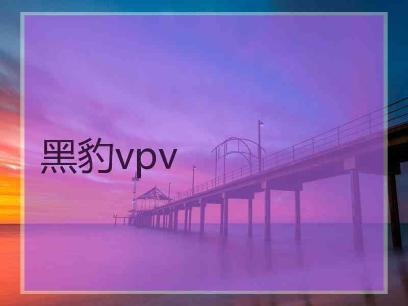 黑豹vpv