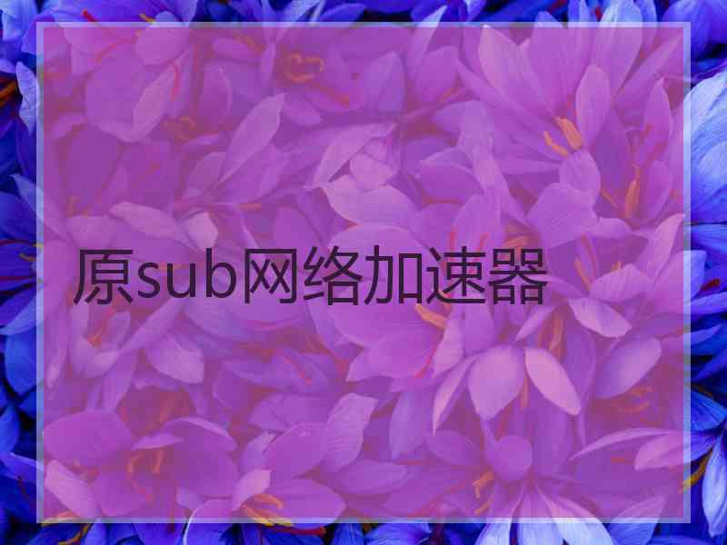 原sub网络加速器