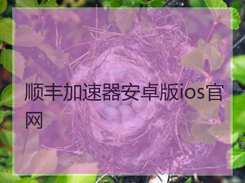 顺丰加速器安卓版ios官网