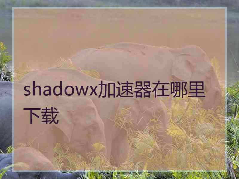 shadowx加速器在哪里下载