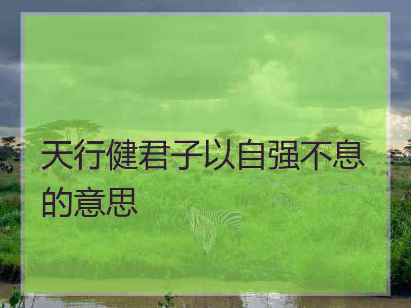 天行健君子以自强不息的意思