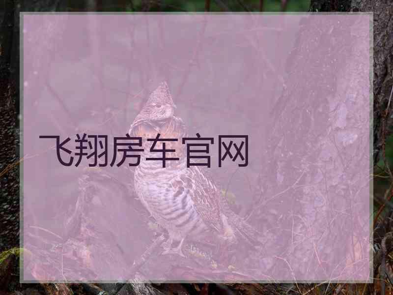 飞翔房车官网