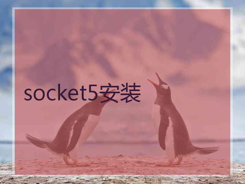 socket5安装