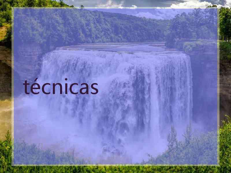 técnicas