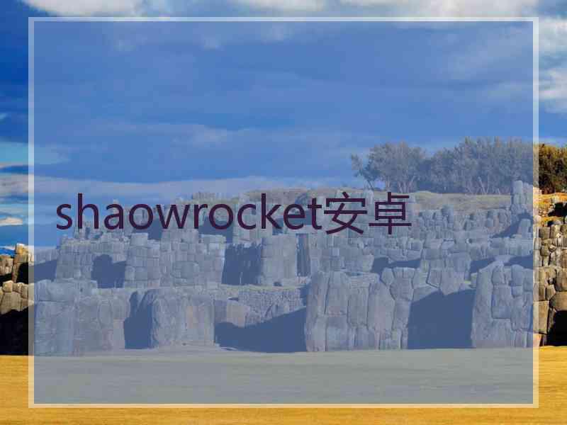 shaowrocket安卓