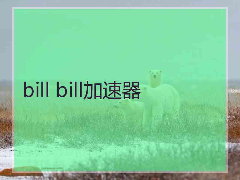 bill bill加速器