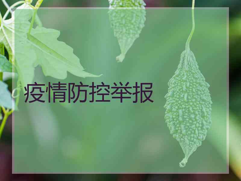 疫情防控举报