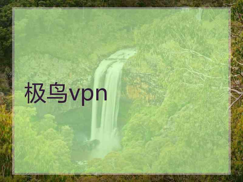 极鸟vpn