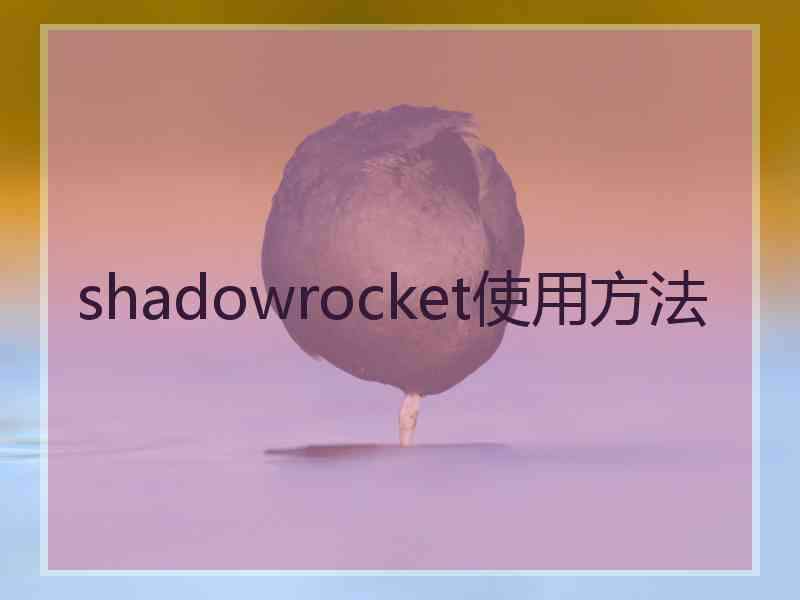 shadowrocket使用方法