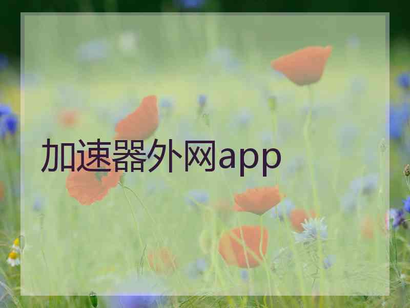 加速器外网app