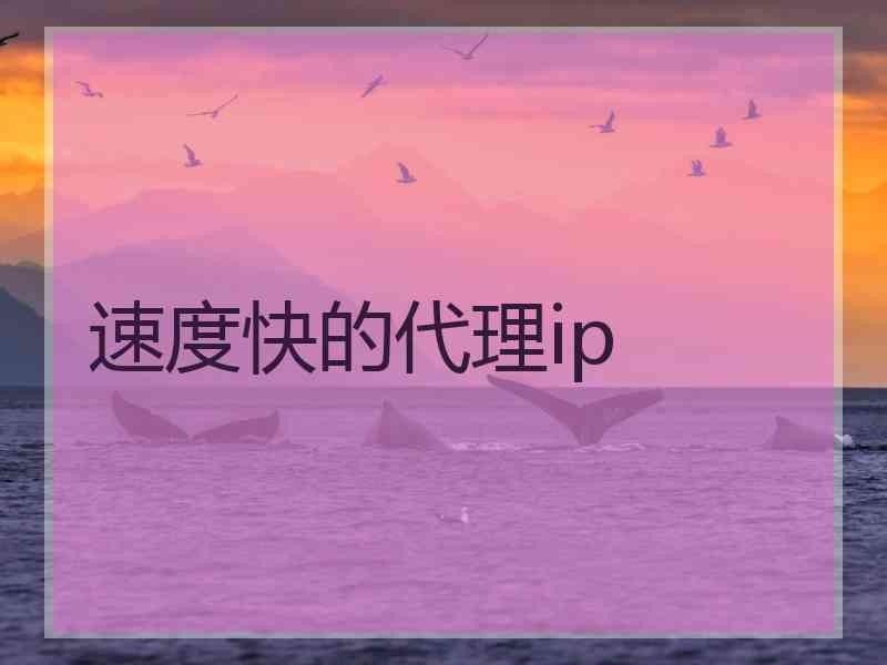 速度快的代理ip