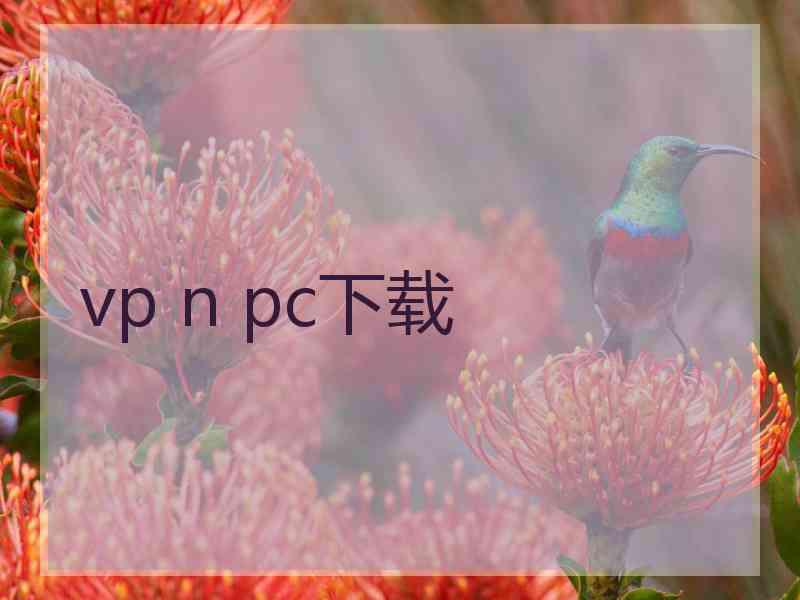 vp n pc下载